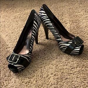 Paris Hilton Burke in Zebra Pony